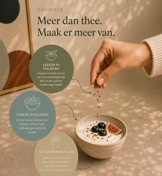 Serenitea - Boekweitthee - Soba Cha